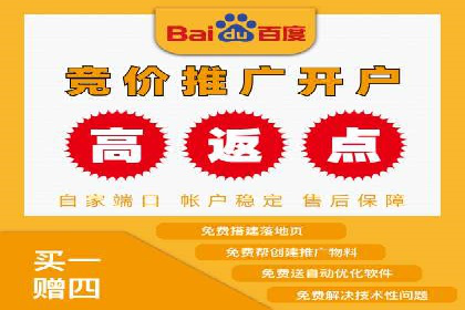 案例研究：百度推广托管助力电商品牌快速崛起